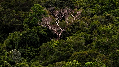Exposition Amazonas - séance de dédicace