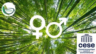 Matinale des transitions – Egalité de genre et transition écologique : pourquoi croiser leurs enjeux ?